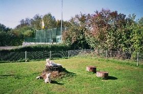 Auslauf_auf_1200_qm_im_geschuetzten_Areal.jpg